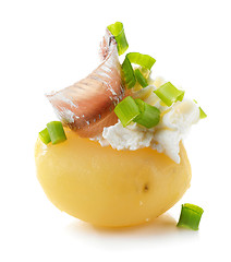 Image showing boiled potato decorated with cream cheese, anchovy and spring on