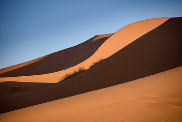 Image showing Dunes, Morocco, Sahara Desert