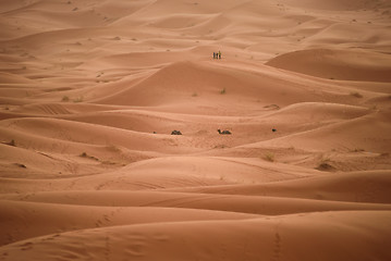 Image showing Dunes, Morocco, Sahara Desert