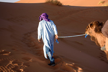 Image showing Berber man leading caravan, Hassilabied, Sahara Desert, Morocco