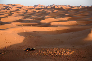 Image showing Camels at the dunes, Morocco, Sahara Desert