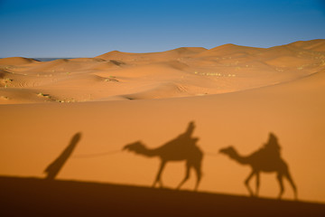 Image showing Camel shadows on Sahara Desert sand in Morocco.
