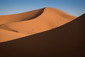 Image showing Dunes, Morocco, Sahara Desert