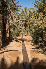 Image showing Oasis in Hassilabied, Erg Chebbi, Moroco