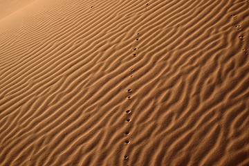 Image showing Dunes, Morocco, Sahara Desert