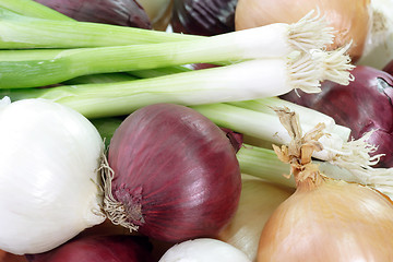 Image showing Background of onions