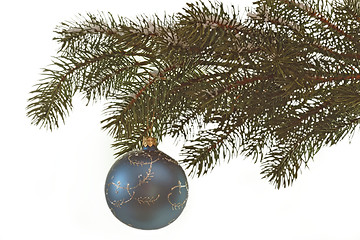 Image showing Fir branch