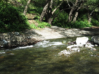 Image showing River bend. Cyprus