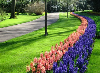 Image showing park in springtime