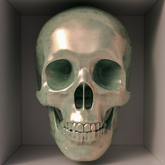 Image showing Metallic skull