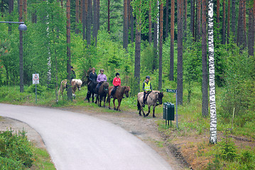 Image showing Horse group.