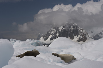 Image showing Mountain view in Antarctica