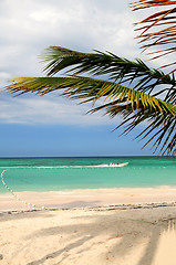 Image showing Tropical beach