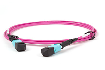 Image showing fiber optic MTP (MPO) pigtail, patchcord connectors