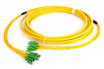 Image showing fiber optic E2 (LSH) pigtail, patchcord