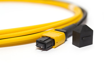 Image showing fiber optic MTP (MPO) pigtail, patchcord connectors