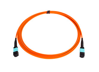 Image showing fiber optic MTP (MPO) pigtail, patchcord connectors