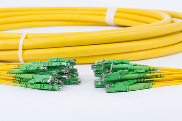 Image showing fiber optic E2 (LSH) pigtail, patchcord