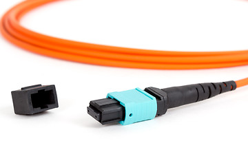 Image showing fiber optic MTP (MPO) pigtail, patchcord connectors