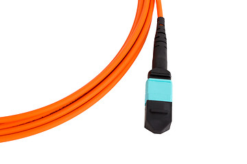 Image showing fiber optic MTP (MPO) pigtail, patchcord connectors