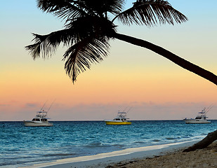 Image showing Tropical beach at sunset