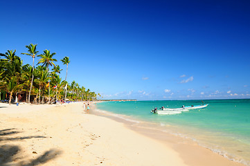 Image showing Sandy beach on Caribbean resort