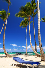 Image showing Sandy beach on Caribbean resort