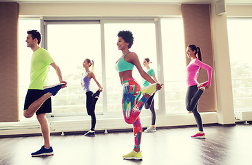 Image showing group of smiling people exercising in gym