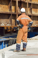 Image showing Worker