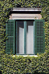 Image showing Window