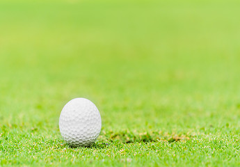 Image showing Golf Ball