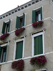 Image showing windows