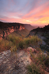 Image showing Spectacular views into Nellies Glen from Katoomba