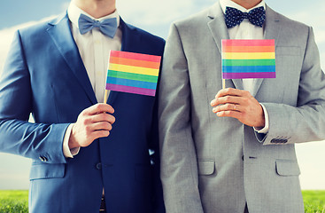 Image showing close up of male gay couple holding rainbow flags