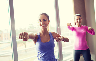 Image showing group of happy women working out in gym