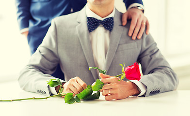 Image showing close up of male gay couple with wedding rings on