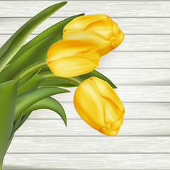 Image showing Yellow tulips. EPS 10