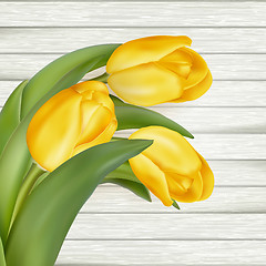 Image showing Yellow tulips. EPS 10