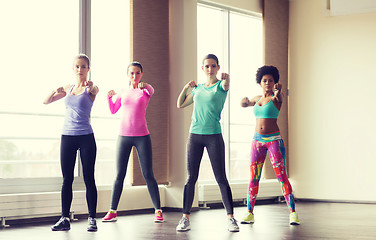 Image showing group of women working out in gym