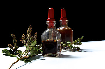 Image showing two glass bottles with herbal extracts and dried patchouli floew