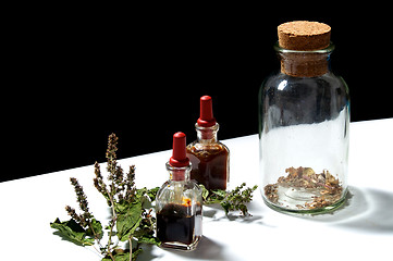 Image showing three glass bottles with herbal extracts and patchouli branch