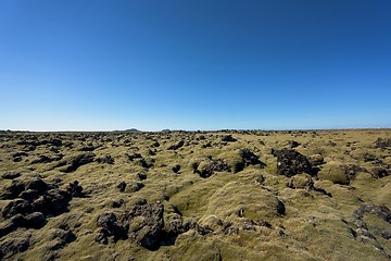 Image showing Iceland lava field covered with green moss