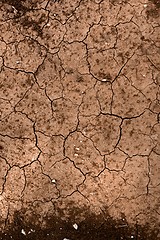 Image showing Dry soil closeup