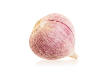 Image showing Raw garlic (small) isolated