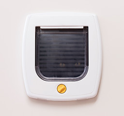 Image showing Inside view of a regular white cat flap, cat comming through