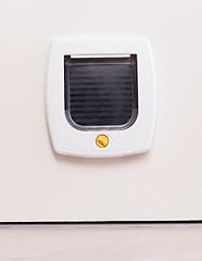 Image showing Inside view of a regular white cat flap