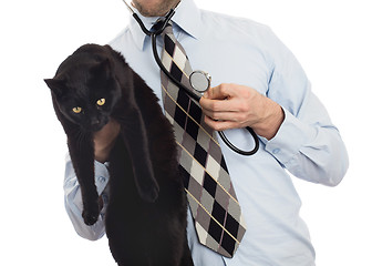 Image showing Veterinarian holds a black cat for examination