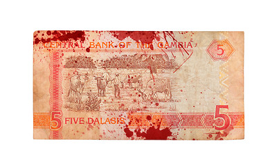 Image showing 5 Gambian dalasi bank note, bloody