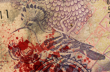 Image showing 50 Gambian dalasi bank note, bloody