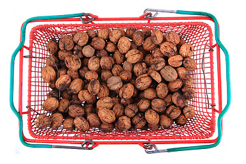 Image showing fresh natural walnuts